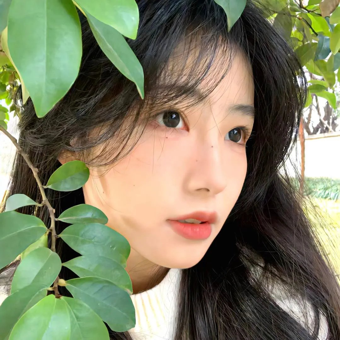 花开时想月